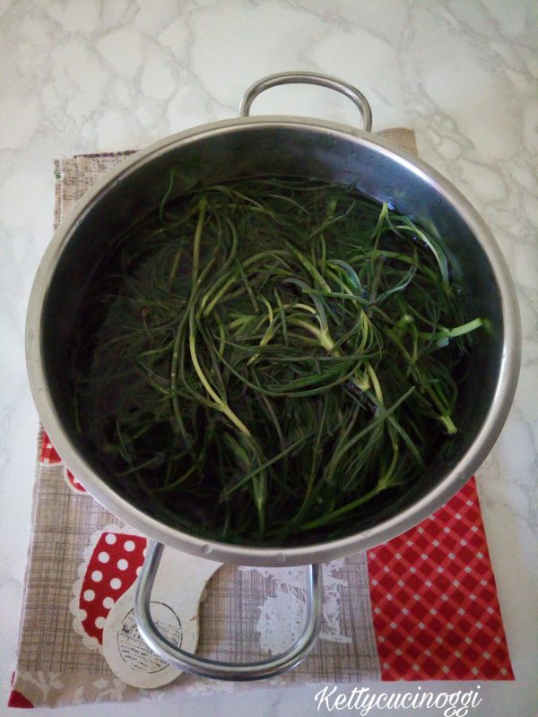 Una volta pronti gli <b>agretti</b> li facciamo lessare in acqua bollente e salata per almeno 5 minuti, poi li scoliamo e li raffreddiamo sotto acqua corrente così non perderanno la clorofilla e, lasciamo da parte una tazzina di brodo di cottura.