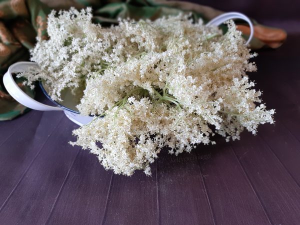 SCIROPPO AI FIORI DI SAMBUCO: LA RICETTA