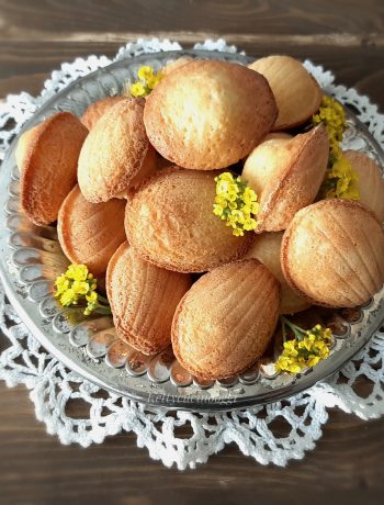 MADELEINE DOLCETTI FRANCESI