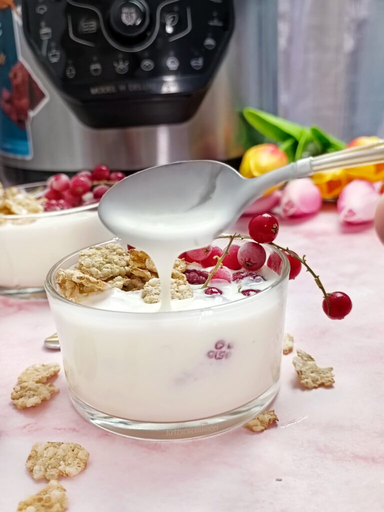 YOGURT FATTO IN CASA 